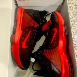 LeBron Witness IV Nike shoes